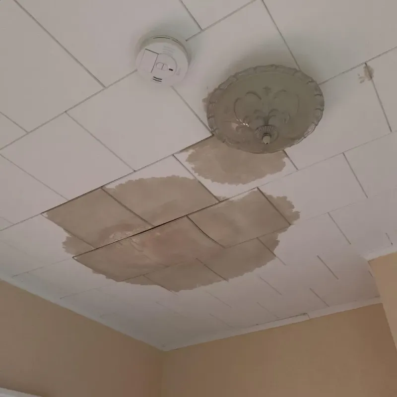 Ceiling Water Damage Repair in Box Butte County, NE