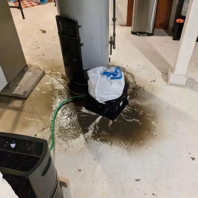 Sewage Backup Cleanup Service in Box Butte County, NE